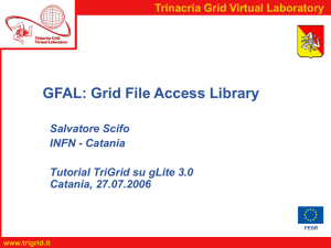 GFAL: Grid File Access Library Java API