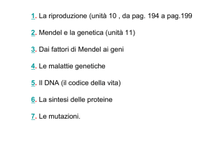 1. A che cosa servono e come sono fatti i muscoli 2. I muscoli del