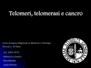 Telomeri, Telomerasi e Cancro (Lo Giudice, Minaldi, Petrone)