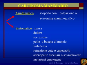 Presentazione di PowerPoint