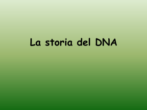 Il DNA - Liceo Galileo Galilei