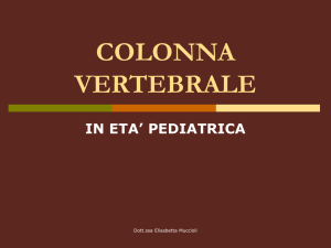 colonna vertebrale - PediatriaMuccioli