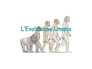L`Evoluzione Umana