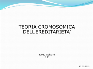 Diapositiva 1 - Liceo Galvani