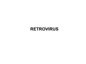 07 - retrovirus