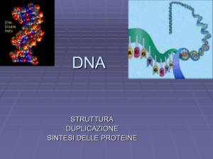 DNA - Liceo Foscarini