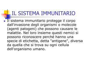 IL SISTEMA IMMUNITARIO