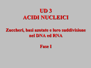 Acidi Nucleici