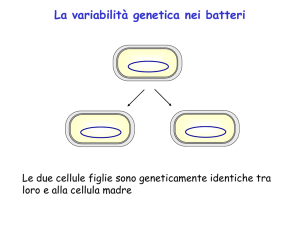 Presentazione di PowerPoint