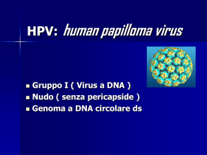 HPV: human papilloma virus - Analisi Cliniche Cimatti Roma