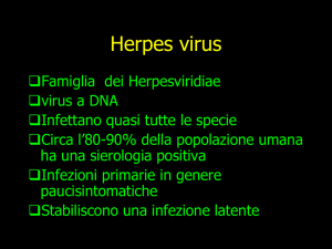 Herpes virus