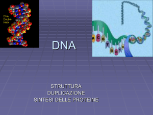 dna