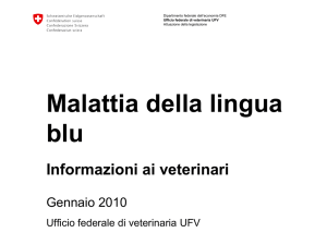 Malattia della lingua blu