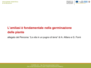 L`amilasi è fondamentale nella germinazione delle piante