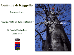 La foresta di San Antonio