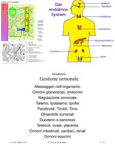 Gestione ormonale, endocrina: Anatomia, Fisiologia