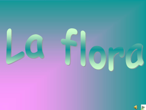 La flora - Miglionicoweb