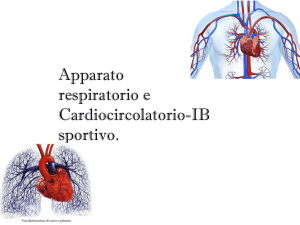 Apparato respiratorio e cardiocircolatorio_1B Liceo Sportivo