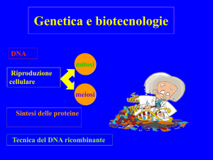 DNA ricombinante - Liceo Foscarini