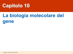 appunti genetica molecolare