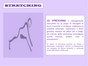 lo stretching