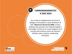 Marmo di Carrara by IMM