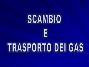 3._Scambio_dei_gas_e_sistemi_di_controllo