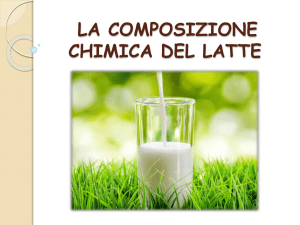 la composizione chimica del latte