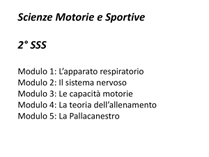 Scienze Motorie e Sportive id 3