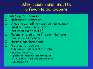 Nefropatia diabetica
