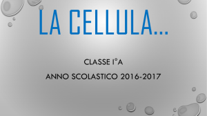 La cellula - Istituto Comprensivo Villapiana