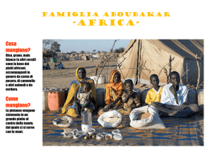 Famiglia aboubakar -africa-