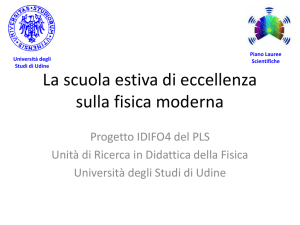 PresentazioneSEEFM2013 - Universita` di Udine