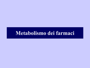 le due fasi del metabolismo dei farmaci