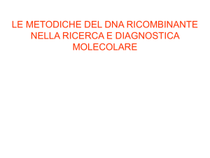 Le metodiche del DNA ricombinante nella ricerca e diagnostica