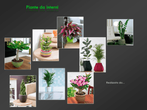 file `presentazione piante da interni`