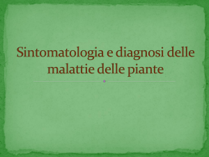 Sintomatologia e diagnosi delle malattie delle piante