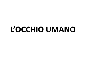L*OCCHIO UMANO