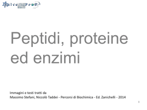 Proteine_enzimi