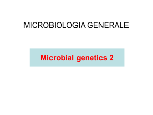 Genetica dei microrganismi: trasferimento e trasposizione