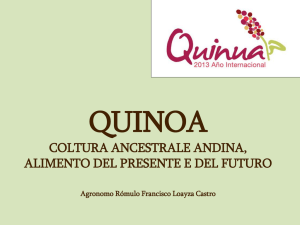 Breve Storia della quinoa