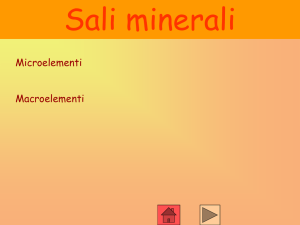 Sali minerali - microelementi