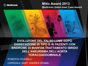 Mitic Award 2013