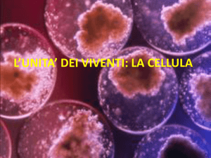l`unita` dei viventi: la cellula la cellula eucariote animale