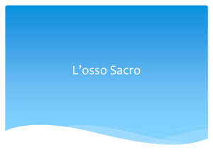 L*osso Sacro - Nuova Scuola di Osteopatia Treviso