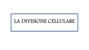 DIVISIONE CELLULARE