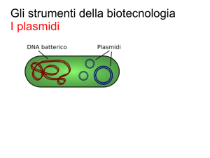 Gli strumenti della biotecnologia I plasmidi