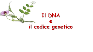 il-dna-e-il-codice-genetico_gaia