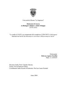 1.5.2. Il complesso CCR4-NOT è evolutivamente - Padis