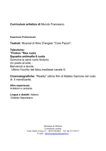 curriculum Francesco Murolo